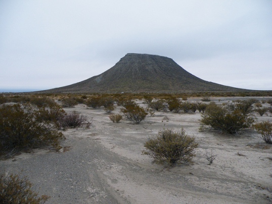 Coahuila