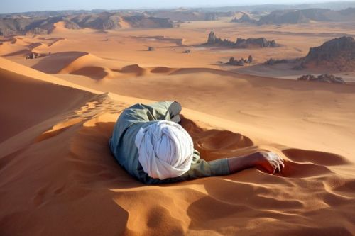 "Un meritato riposo nel Sahara" di Evan Cole