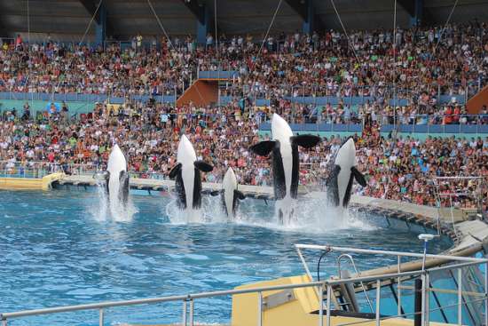 Marineland