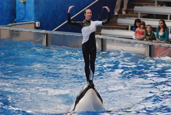 SeaWorld