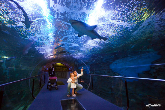 Acquario di San Sebastian