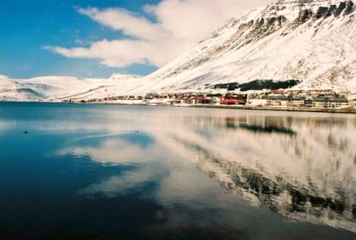 Fiordi islandesi