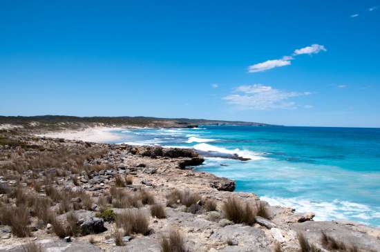Kangaroo Island ( Australia)