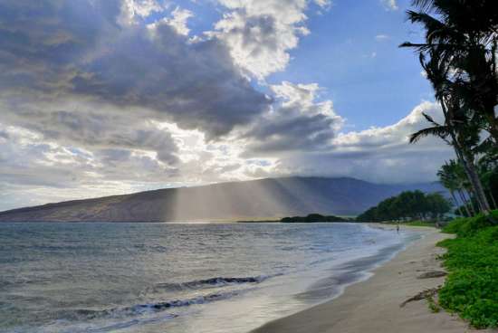 Maui ( Hawaii - USA)