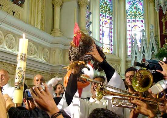 Messa del gallo