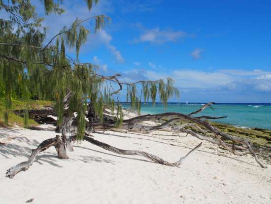 Whitsunday ( Australia)