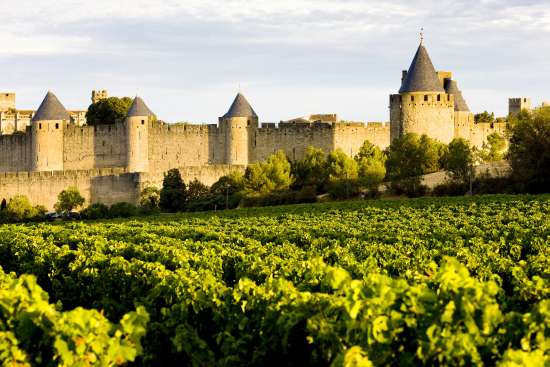 Carcassonne ( 1)