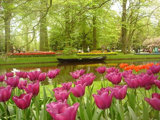Keukenhof