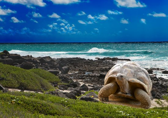 Parque nacional Galápagos