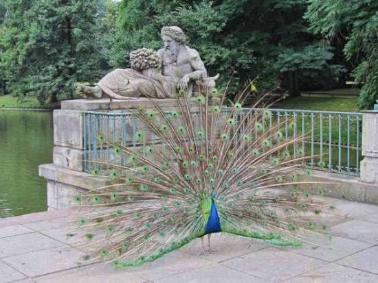 Parco Lazienki