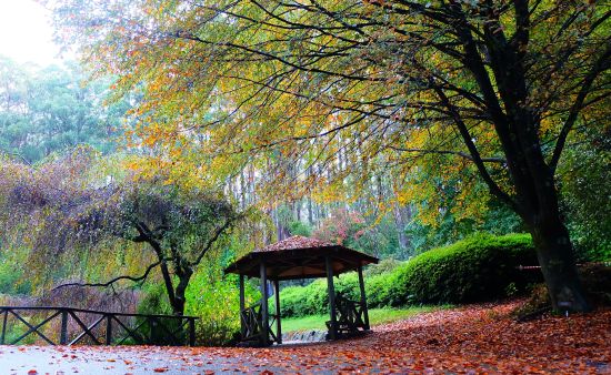 Dandenong Ranges