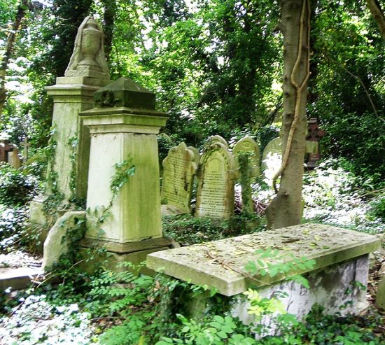 Highgate