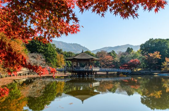 Nara