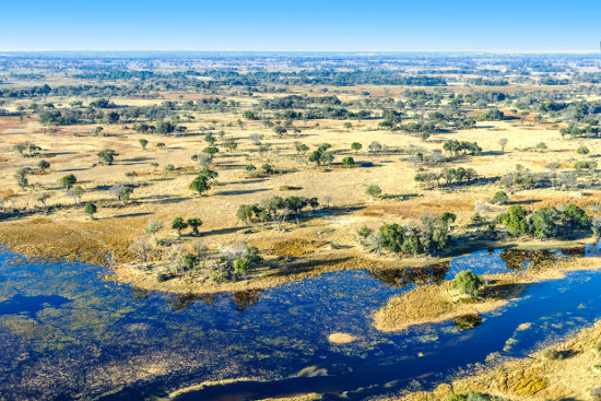 Delta dell'Okavango, Botswana