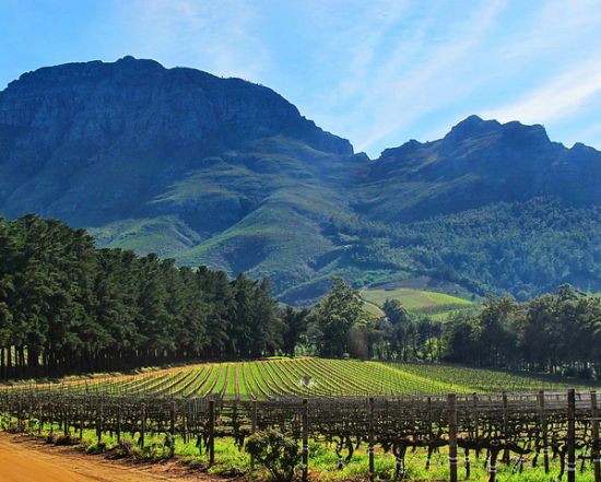 Stellenbosch (Sudafrica)
