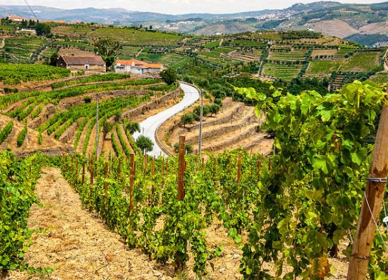 Vale do Douro (Portogallo)