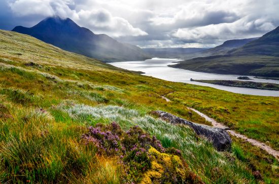 Highlands scozzesi