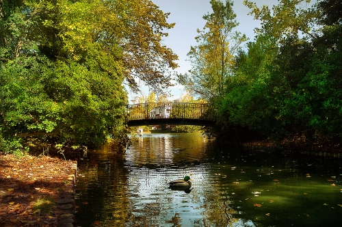 Parc Borély