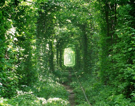 Tunnel dell'Amore