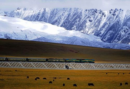Lhasa Express