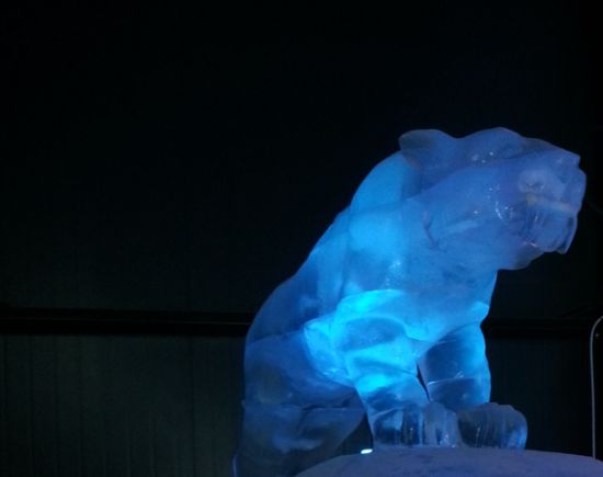 607px-2014_Hong_Kong_Harbin_Winter_Festival_Saber-toothed_cat