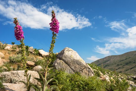 Parco Nazionale del Golfo di Orosei e del Gennargentu