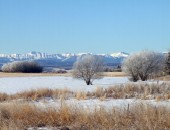 Paesaggio innevato Calgary, Paesaggio innevato