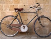 Cipro, Bici