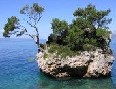 Croazia, Costa