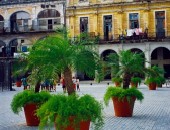 La Habana Vieja L'Avana, La Habana Vieja
