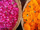 Voli economici India Voli economici India