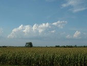 Campagna lombarda Bergamo, Italia