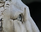 Genova, San Lorenzo