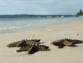Madagascar, Spiaggia Madagascar, Spiaggia