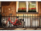 Voli economici Amsterdam Voli economici Amsterdam