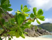 Paradiso Mahé Island, Seychelles