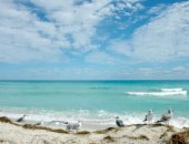 Voli economici Miami Voli economici Miami
