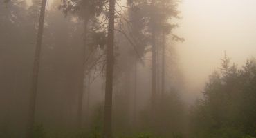 Destinazioni europee: la Foresta Nera