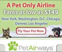 Nasce la Pet Airways: il vostro cucciolo viaggia da re!