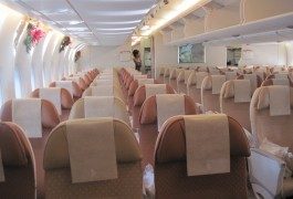 Guida all’uso: comodità in classe economica