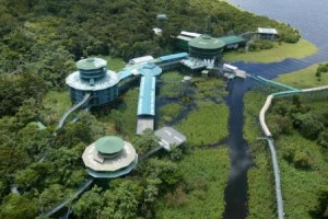 In una torre, nel mezzo dell'Amazzonia
