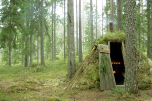Nel cuore della Svezia (e della natura)