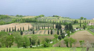 Periodo di crisi? Turismo rurale!