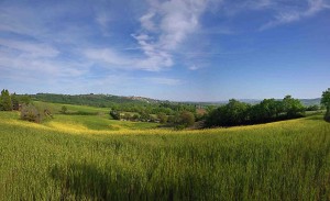 toscana