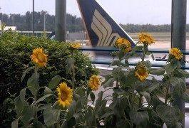 Top 10 – Gli aeroporti meglio attrezzati al mondo!