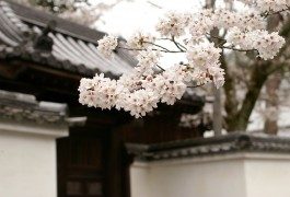 Top 5: destinazioni spirituali