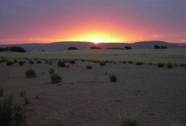 Terra incognita: Namibia