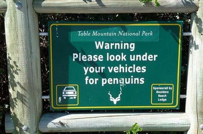 Pinguini birichini Pinguini birichini