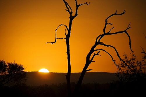 Tramonto in Kenya Tramonto in Kenya