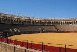 Primavera in Italia e all’estero